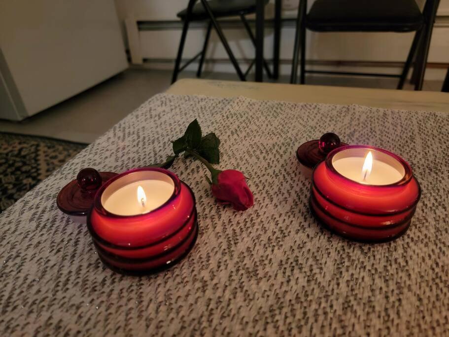 Comfy And Chic Boston Apartment! Free Parking מראה חיצוני תמונה